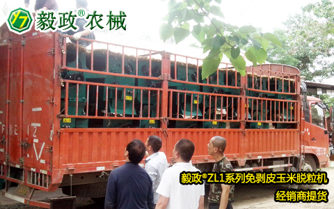 外地客戶來(lái)我司提取1車毅政牌ZL1D型電機(jī)式免剝皮玉米脫粒機(jī)