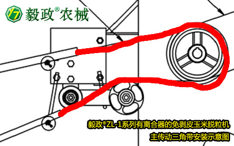 毅政牌ZL1系列有離合器的免剝皮玉米脫粒機(jī)，主傳動(dòng)三角帶正確安裝